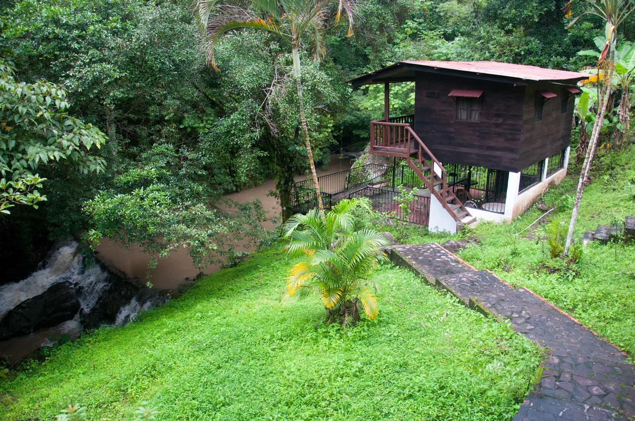 Mamallena Eco Lodge La Laguna de San Carlos Chambre photo