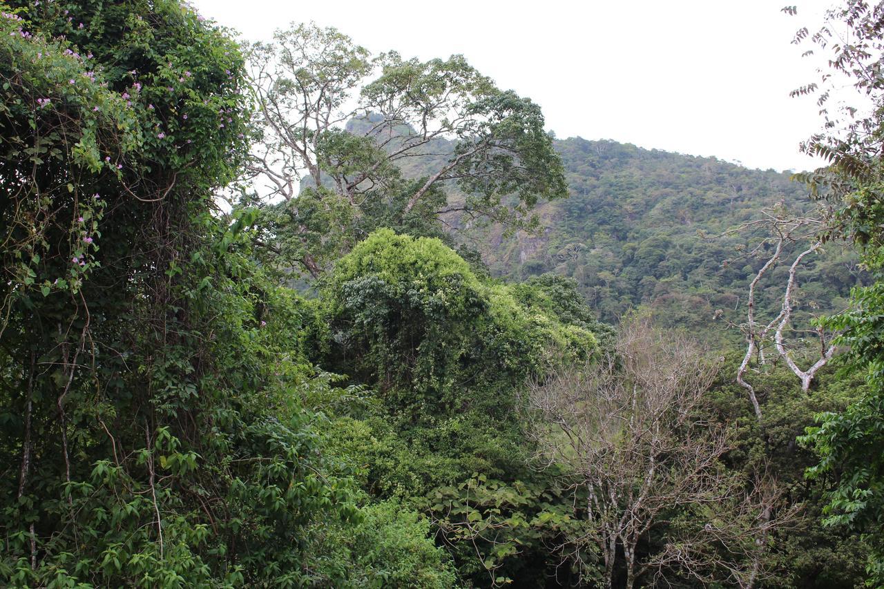 Mamallena Eco Lodge La Laguna de San Carlos Extérieur photo