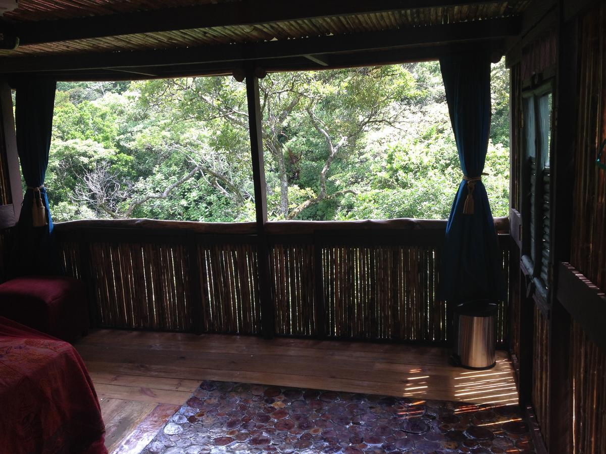 Mamallena Eco Lodge La Laguna de San Carlos Extérieur photo