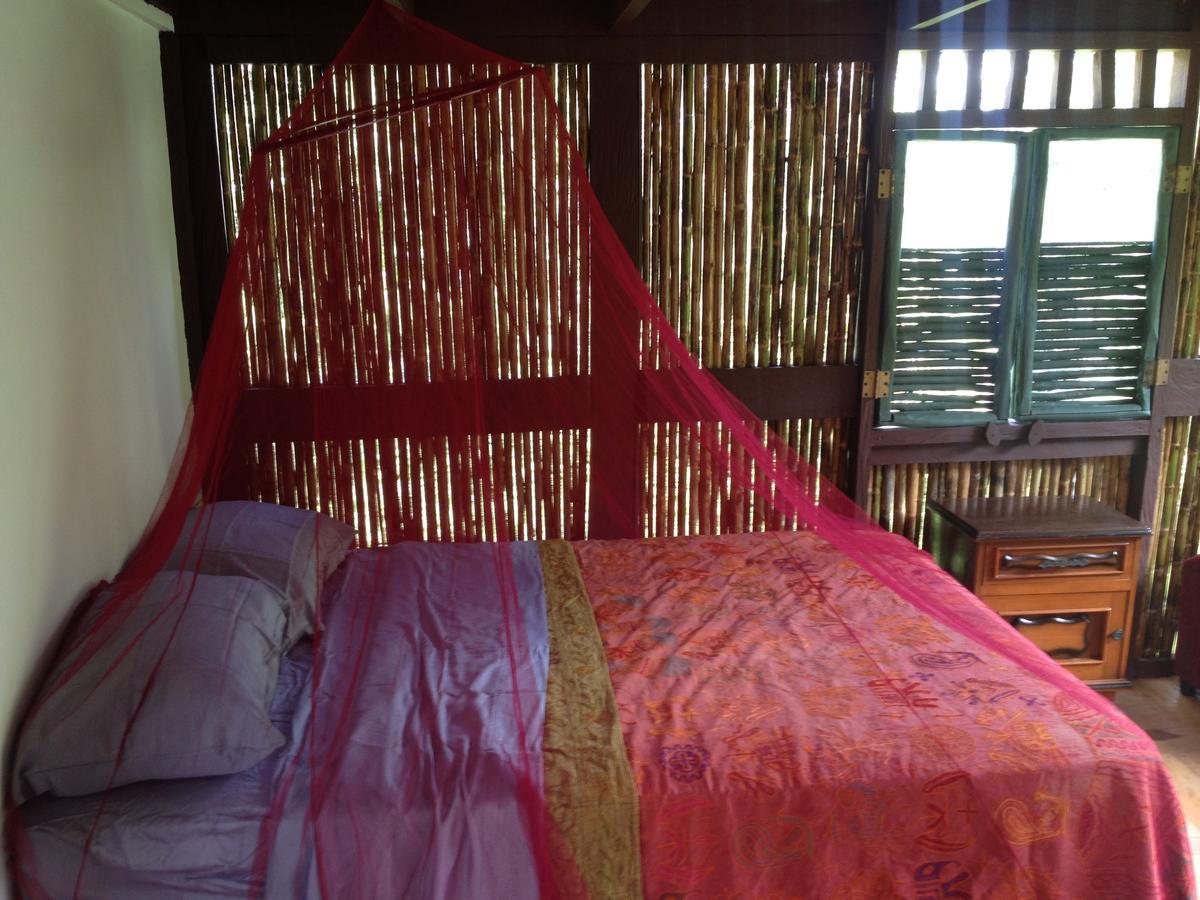 Mamallena Eco Lodge La Laguna de San Carlos Extérieur photo