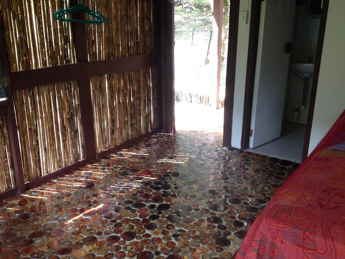 Mamallena Eco Lodge La Laguna de San Carlos Extérieur photo